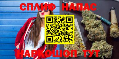 спиды Ставрополь